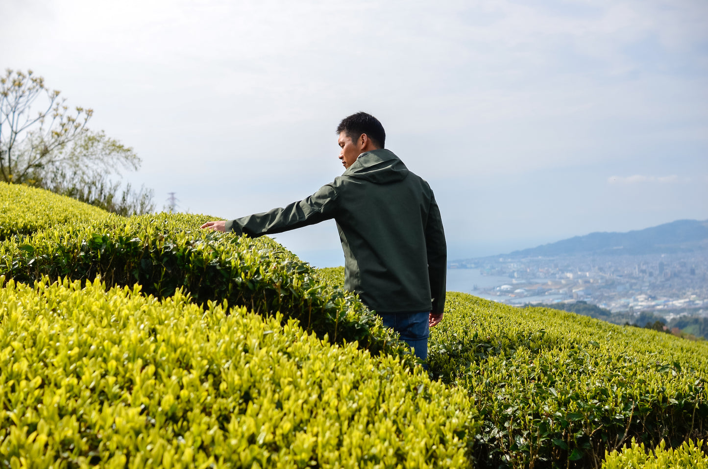 芽重型仕立て!上級煎茶リーフ「萌」 40g 贈り物にもおすすめ!