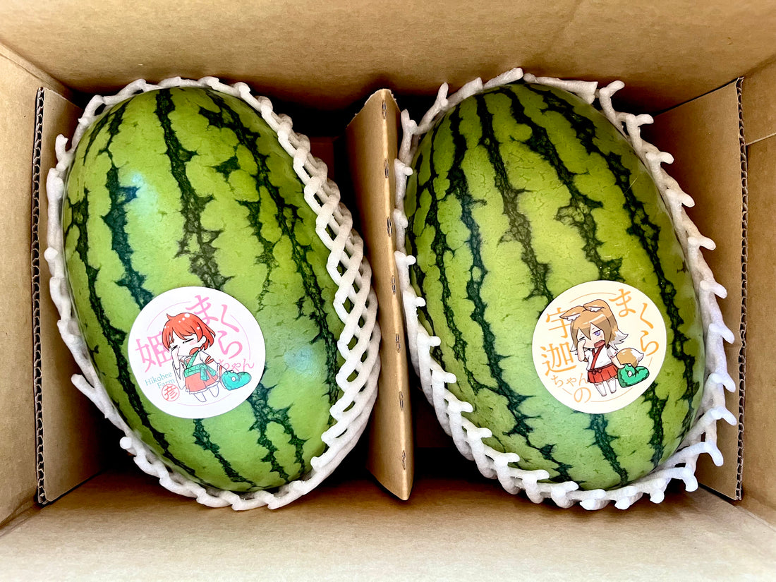 夏の思い出に！小玉スイカ「姫まくら」