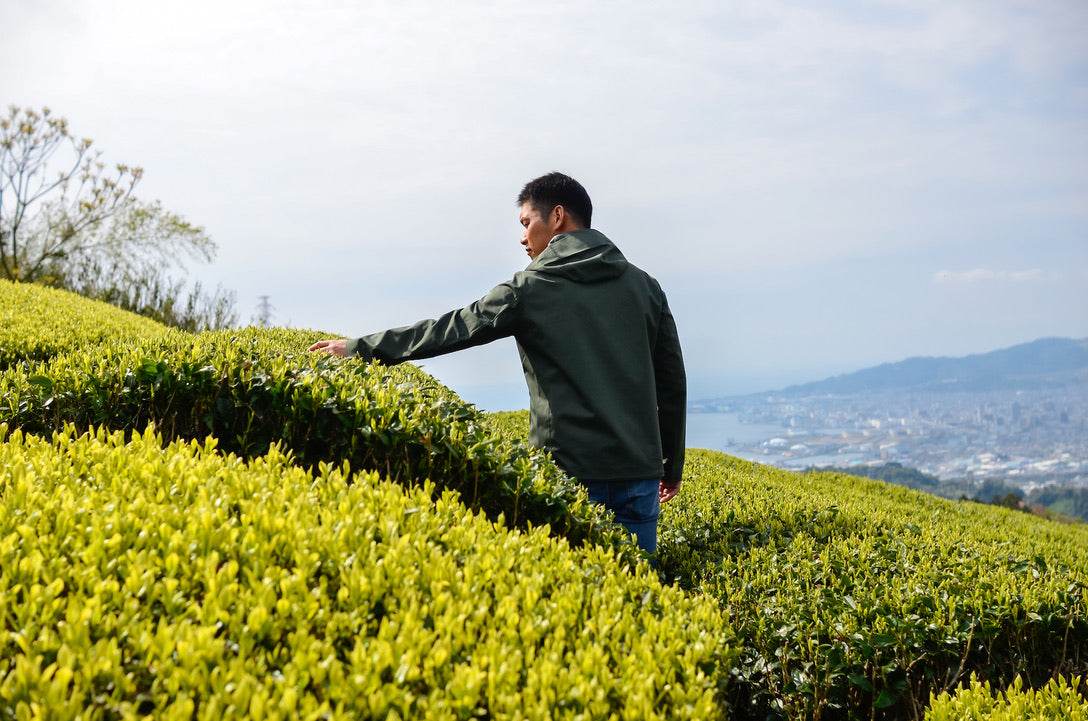 2種類の茶葉をブレンドした、優しい甘さの「和紅茶」！ホットでも水出しでもOK（2袋セット）