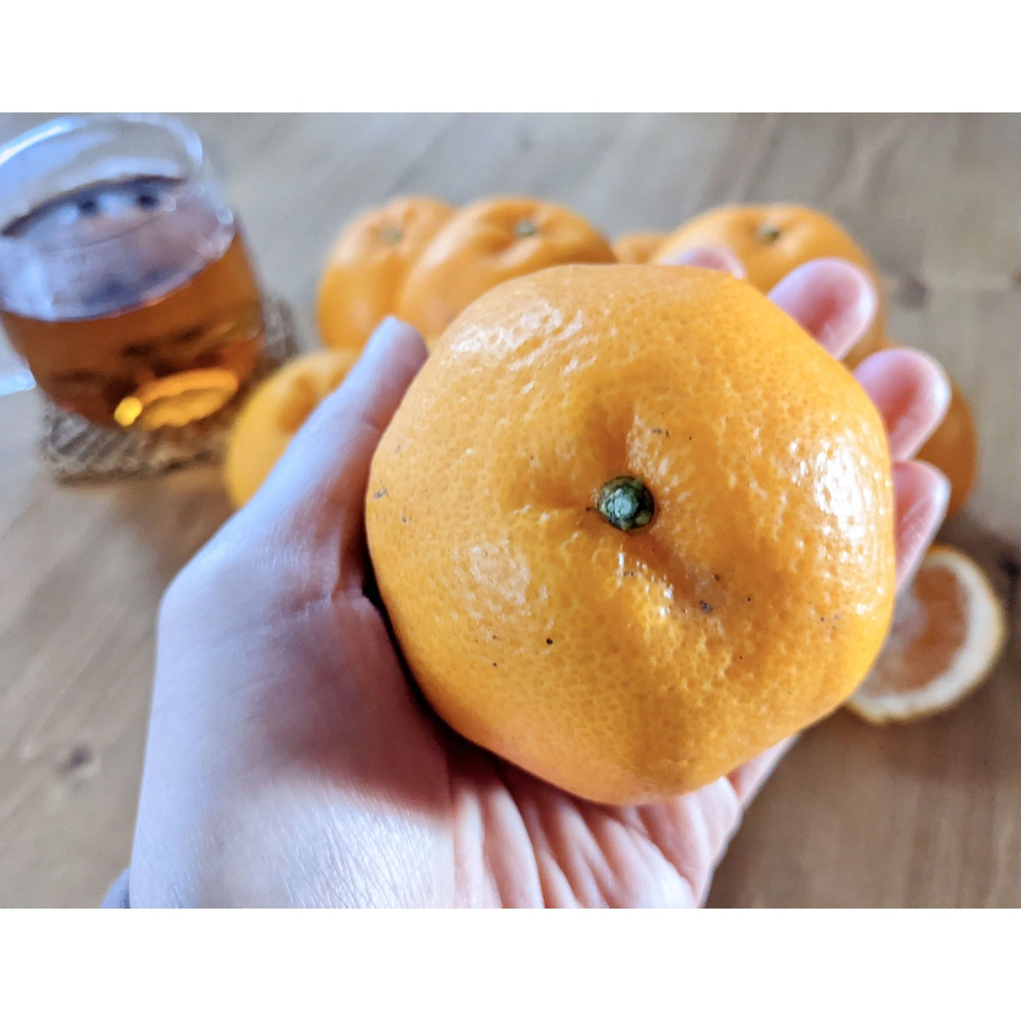 清水のジューシーで甘いみかん「はるみ」！5キロ箱